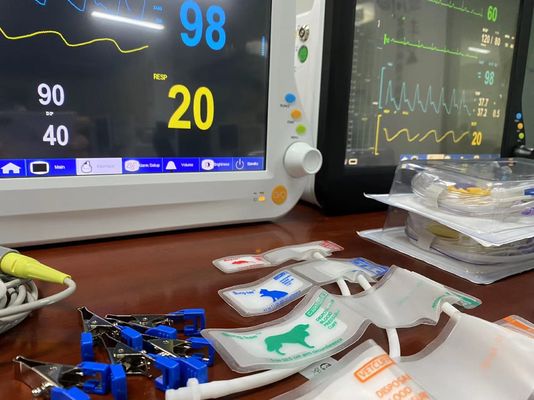 1024X768 LCD Veterinary Multiparameter Monitor , Vitals Monitoring Devices With 15 Inch